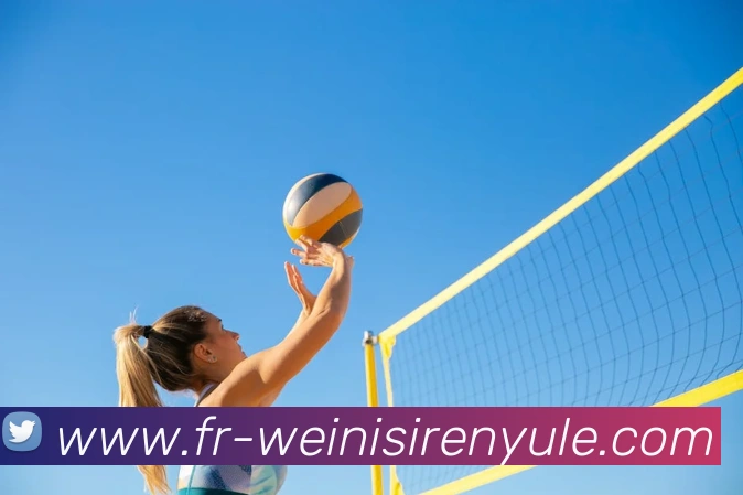 威尼斯人线上娱乐平台生态图